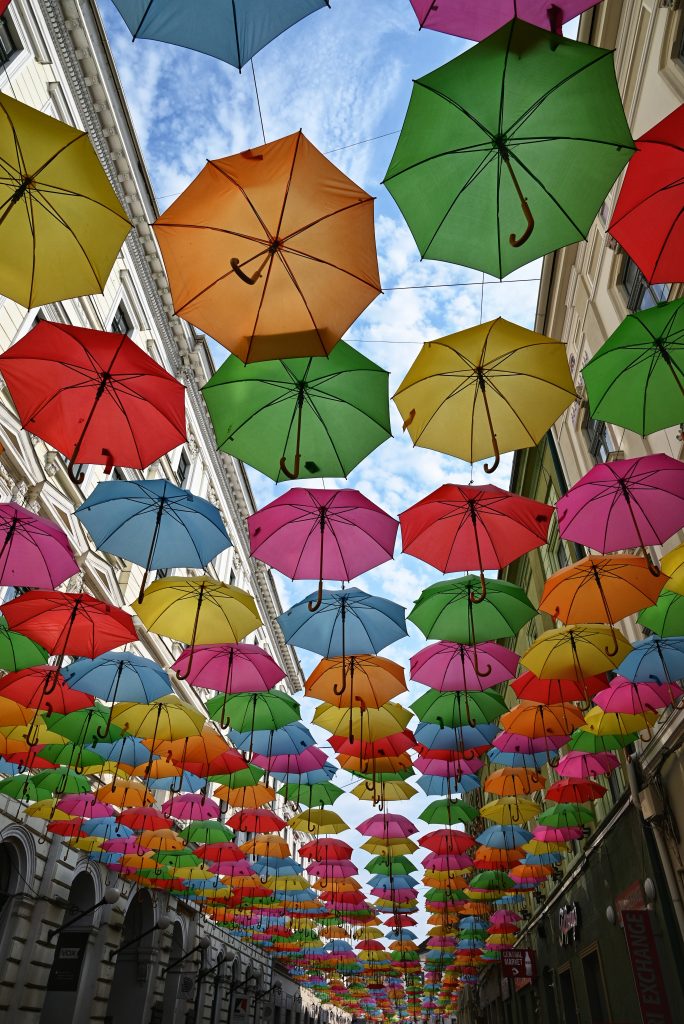 color umbrellas in Timișoara, Romania
